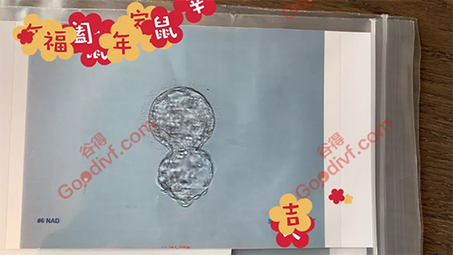 微信图片_20200628110341.png