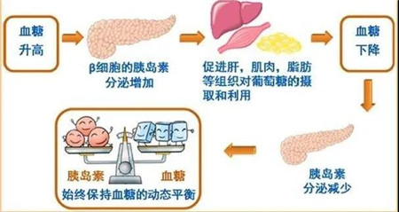 微信图片_20200817161301.jpg