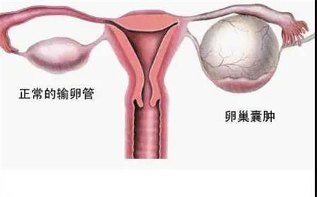 微信图片_20200907175309.jpg