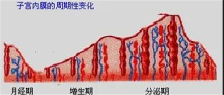 微信图片_20200916143718.jpg