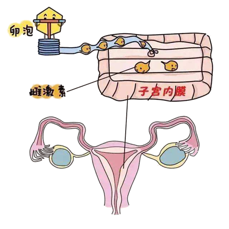 微信图片_20200916143747.png