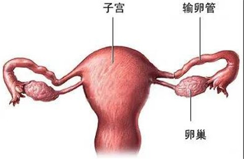 微信图片_20201021164859.jpg