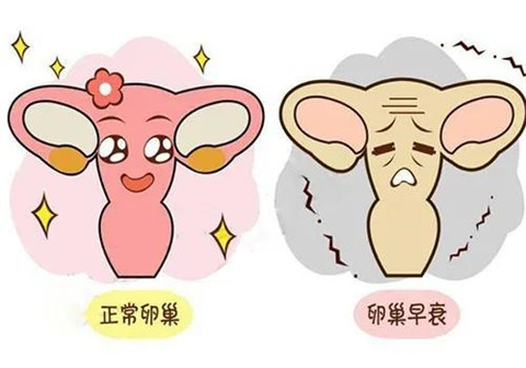 微信图片_20201023161730.jpg