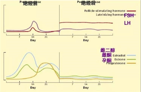 微信图片_20201103160928.jpg